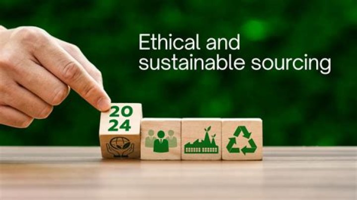 Sustainability, Ethics, And Style Revealed