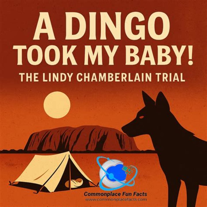Uncovering The Astonishing Truths Behind The Lindy Simmons Case